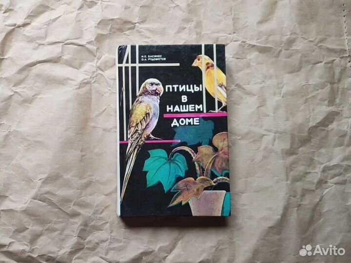 Птицы в нашем доме, Басихес