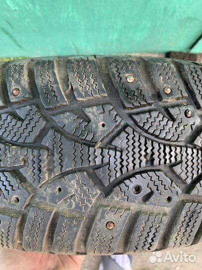 Gislaved Nord Frost III 175/65 R14