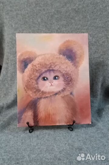 Котик в шапке