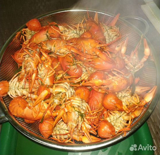 Живые раки с доставкой