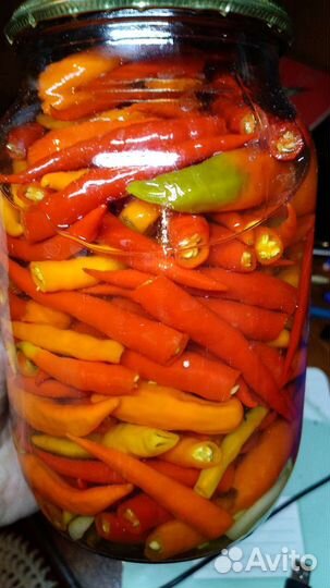 Перец острый маринованный