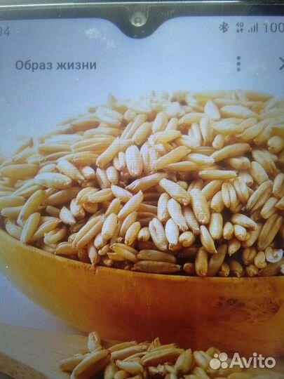 Корма для животных