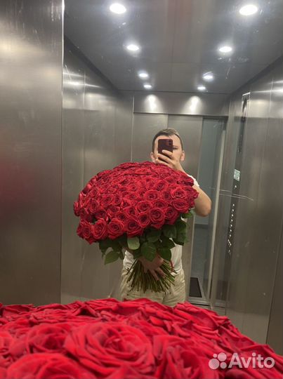 Букет из 101 розы. 101 роза. 51 роза красная