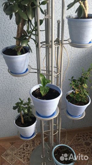 Цветочница с бра б/у