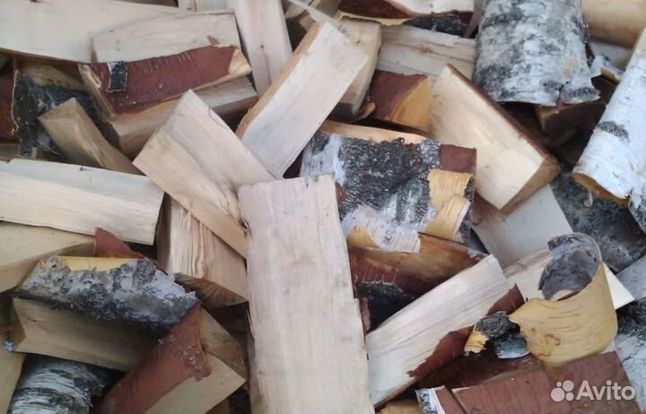 Дрова береза