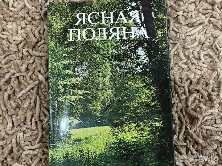 Книга Ясная Поляна