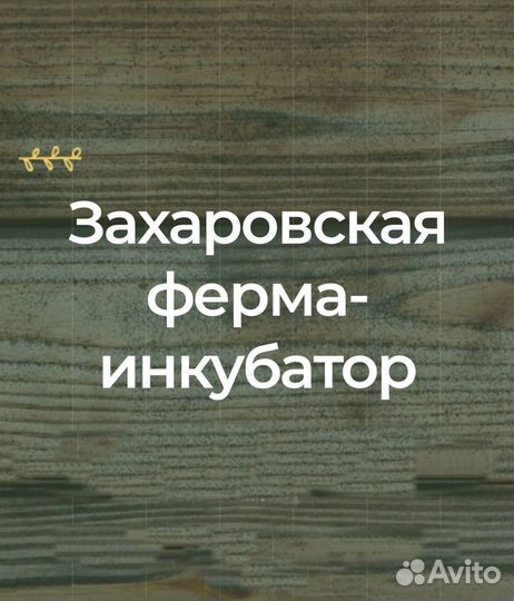 Птичница-оператор, завхоз-слесарь, разнорабочий