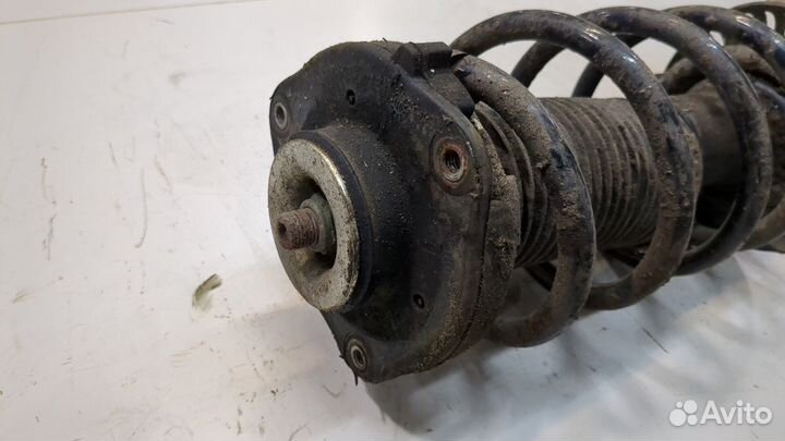 Амортизатор подвески Volkswagen Touran, 2010