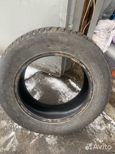 Nokian Tyres Hakkapeliitta 8 195/65 R15