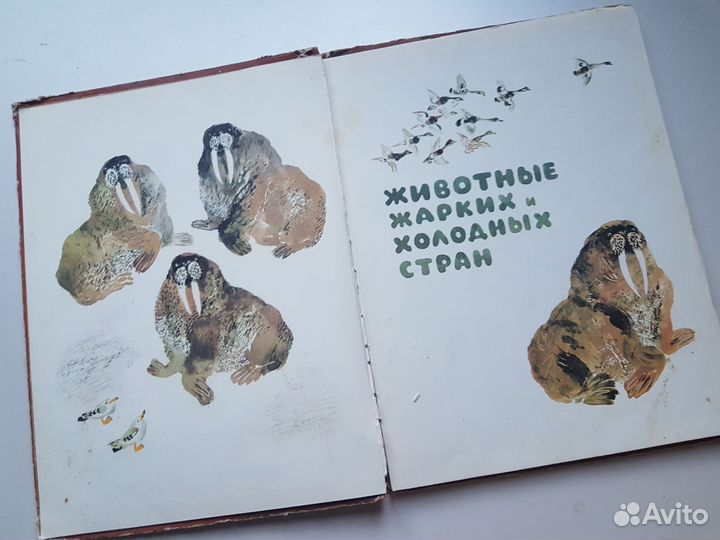 Детские книги СССР Моя первая зоология 1971