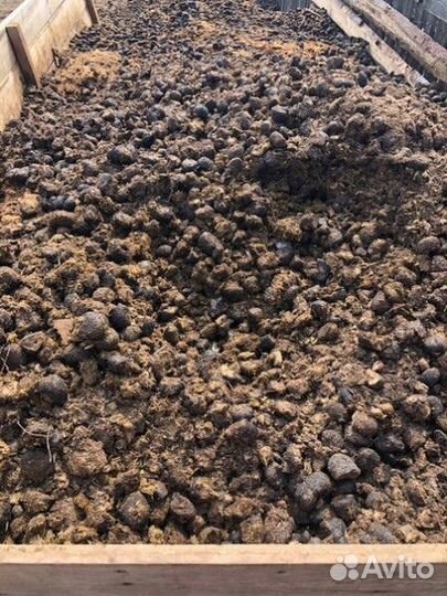 Конский навоз