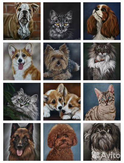 Портрет домашнего любимца по фото на заказ
