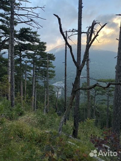 Книга путь воина к