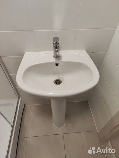 Раковина тюльпан