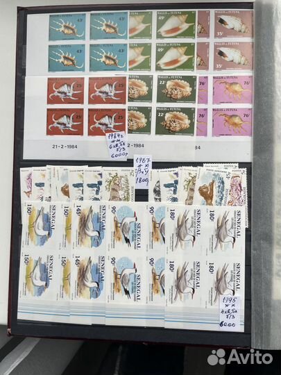 Флора фауна