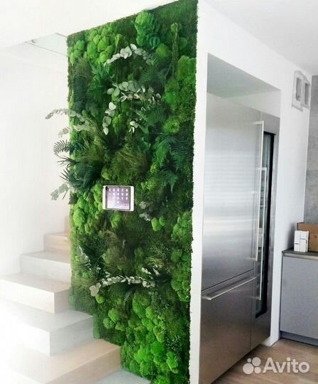 Фитостена из стабилизированного мха