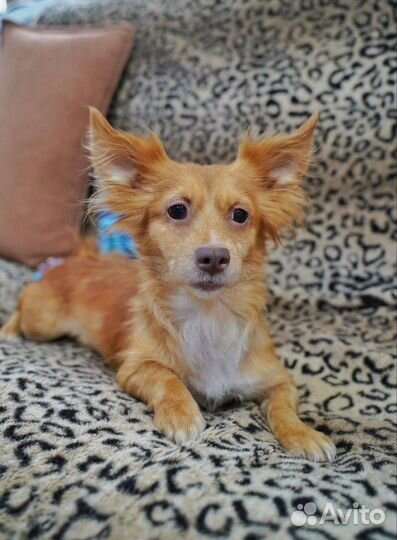 Малышка в беде в добрые руки