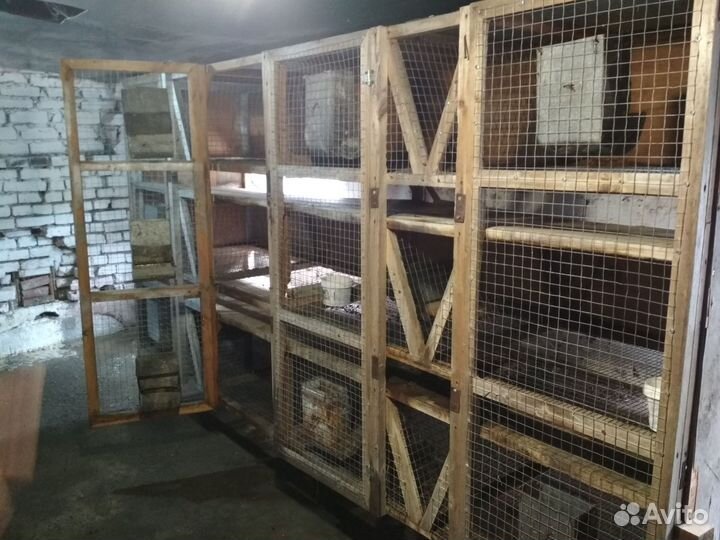 Будка для крольчат