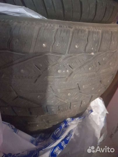 Tigar Winter 195/55 R16 26J