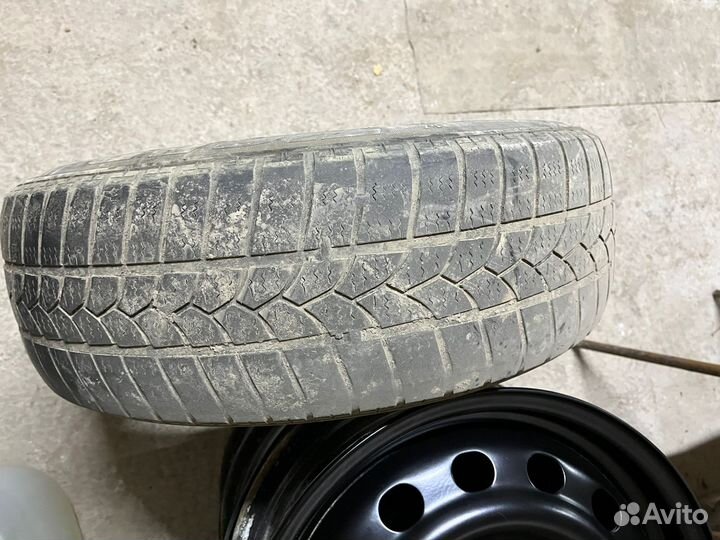 Tigar Winter 1 195/65 R15 91T