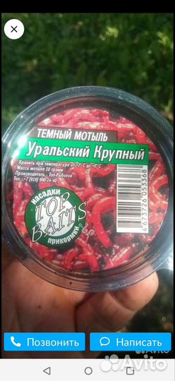 Мотыль, опарыш, навозный червь