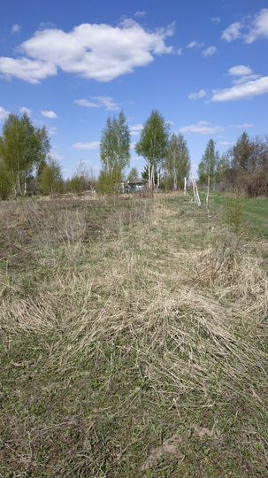 Участок 30 сот. (СНТ, ДНП)