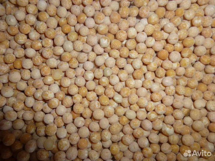 Горох в мешках