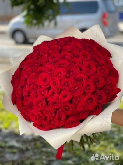 Розы, цветы, букеты, 25, 35, 51, 101 роз