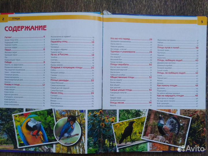 Энциклопедия с развивающими заданиями Птицы