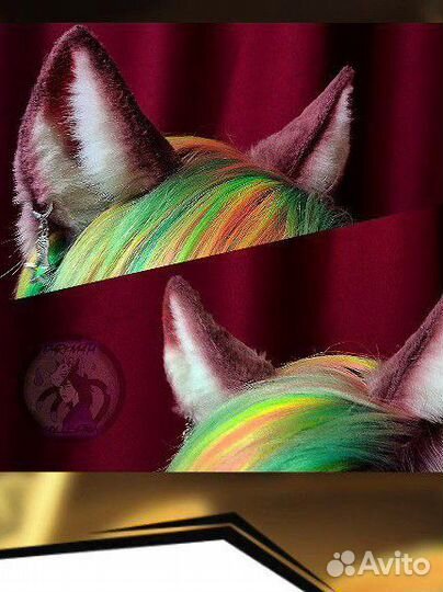 Ушки бордовые