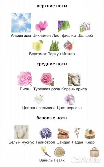 Amouage Dia Woman 50 мл