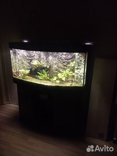 Аквариум Juwel Vision 260 с тумбой