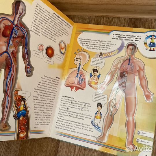 Энциклопедия для детей