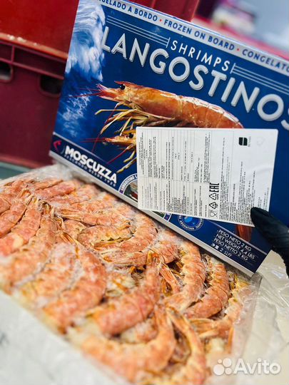 Креветки (Лангустины L1/C1)