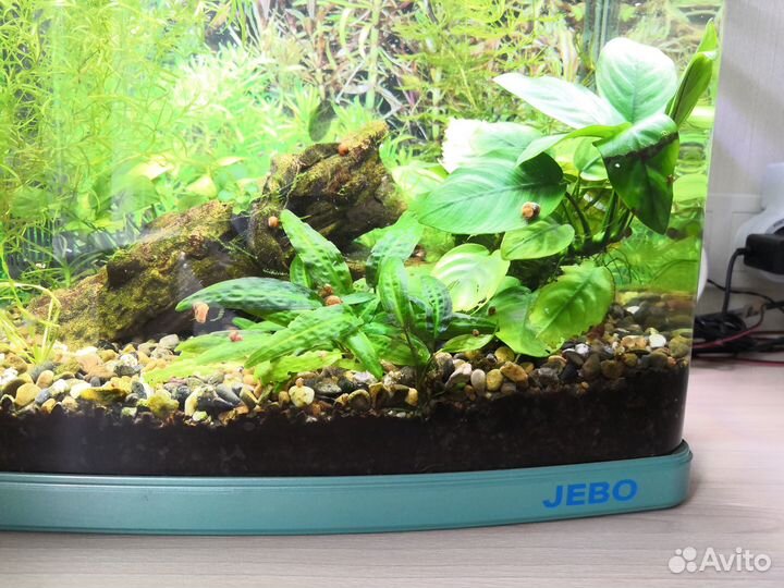 Аквариум jebo R338