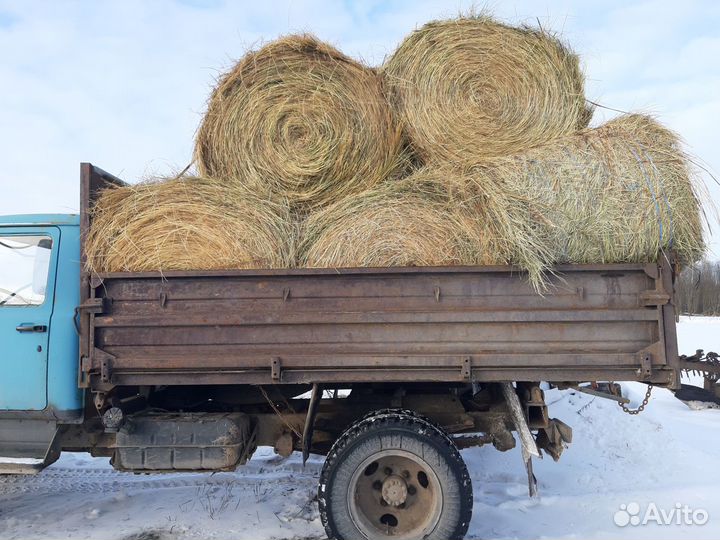 Сено отличного качества