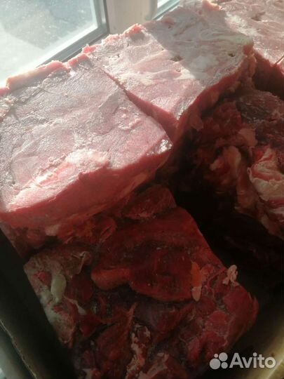Говядина котлетное мясо