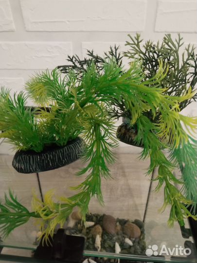 Аквариум aquael 10л