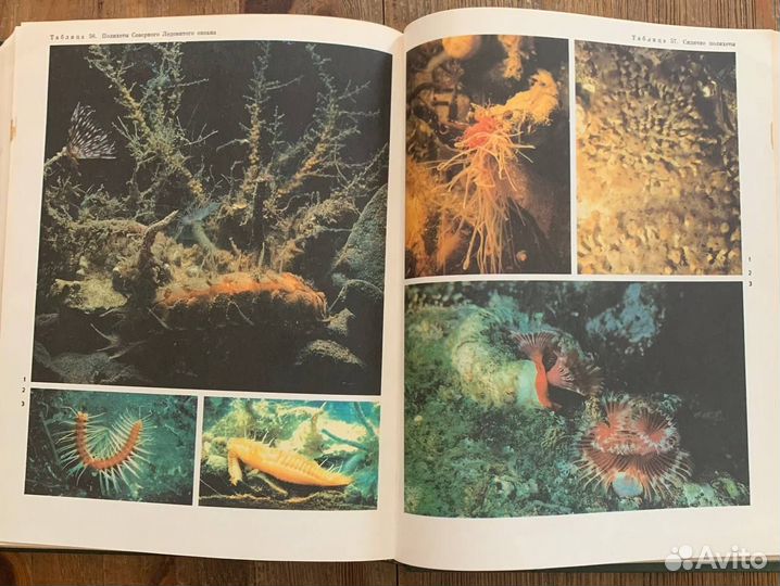 Жизнь животных в 7-ми томах