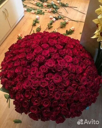 101 роза 51 роза 35 25 букет роз Цветы Доставка