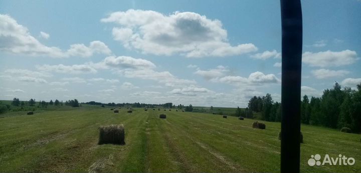 Продам сено в рулонах