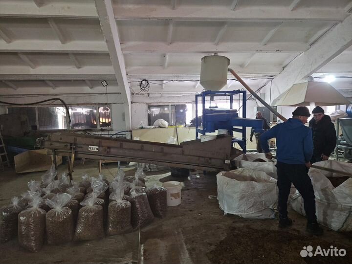 Корм для собак