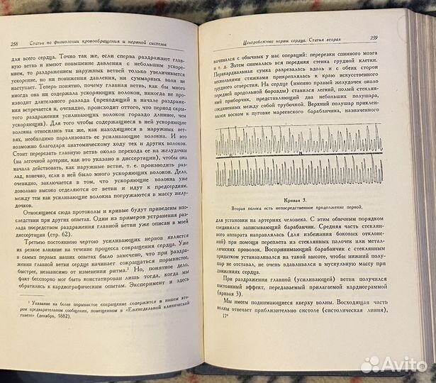 И.П. Павлов