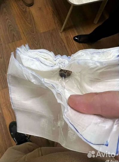 Пятиточечник свмп тварон