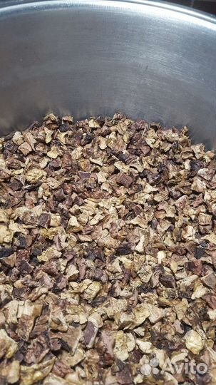 Сухое легкое