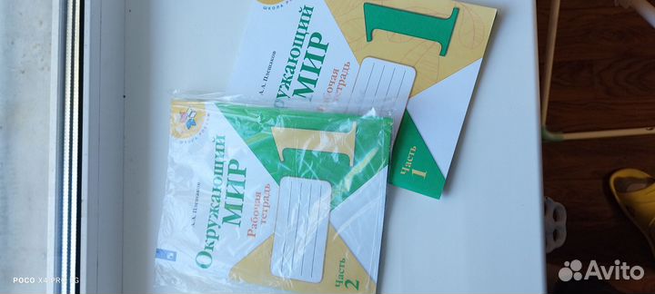 Прописи И рабочие тетради Окружающий мир