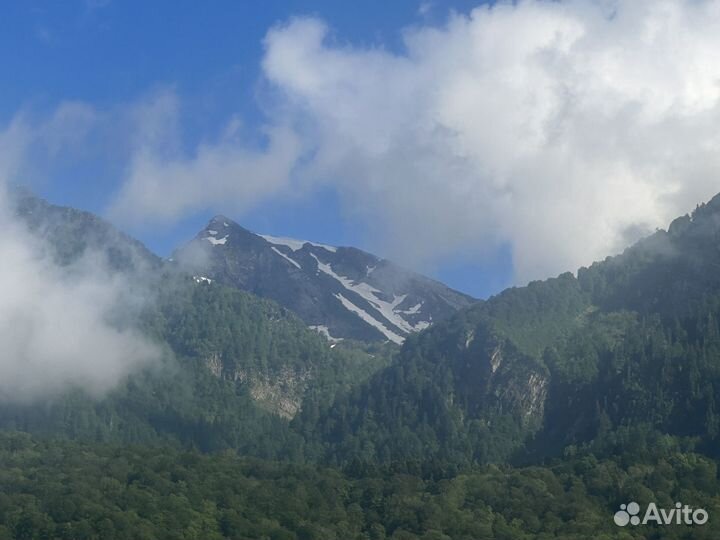 Свой человек в сочи
