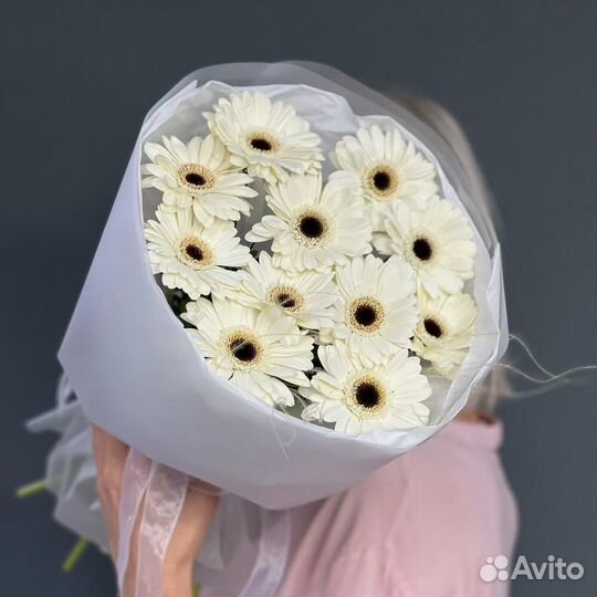 11 молочных Гермини