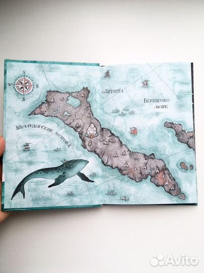 Кит плывет на север детская книга