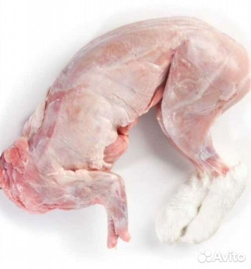 Домашнее мясо кролика, утки, курицы